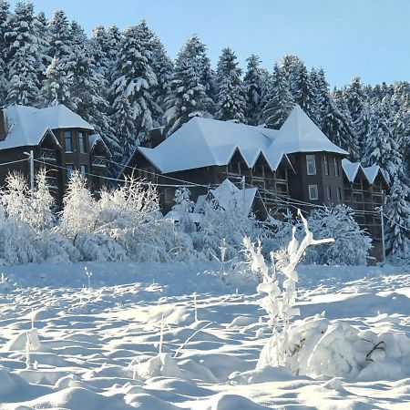 Pid Lisom Hotell Skhidnytsia Exteriör bild