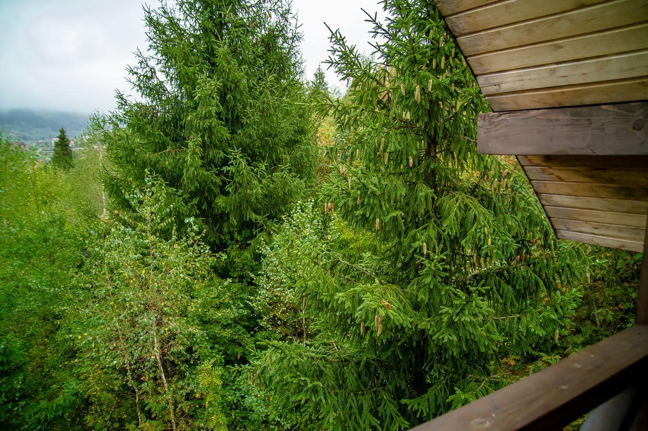 Pid Lisom Hotell Skhidnytsia Exteriör bild